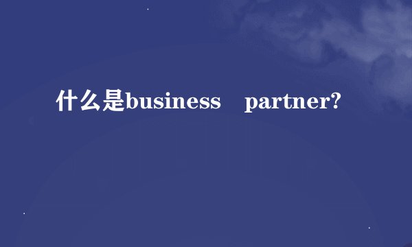 什么是business partner?