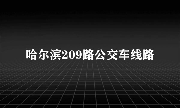 哈尔滨209路公交车线路