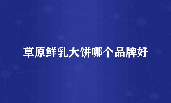 草原鲜乳大饼哪个品牌好
