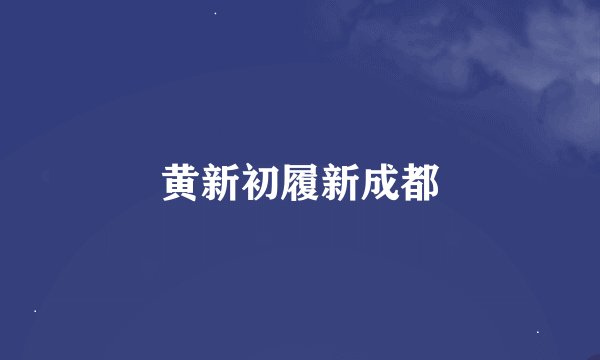 黄新初履新成都