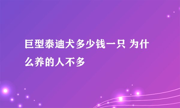 巨型泰迪犬多少钱一只 为什么养的人不多