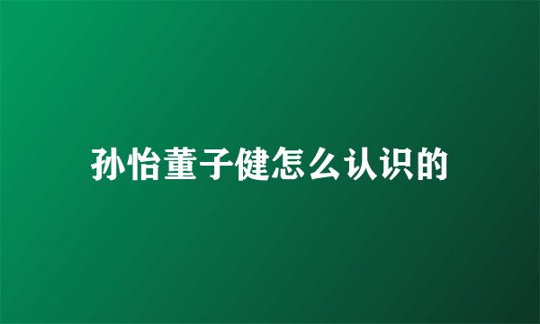 孙怡董子健怎么认识的