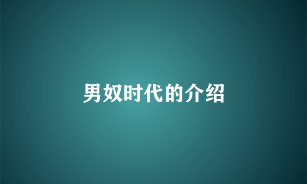 男奴时代的介绍