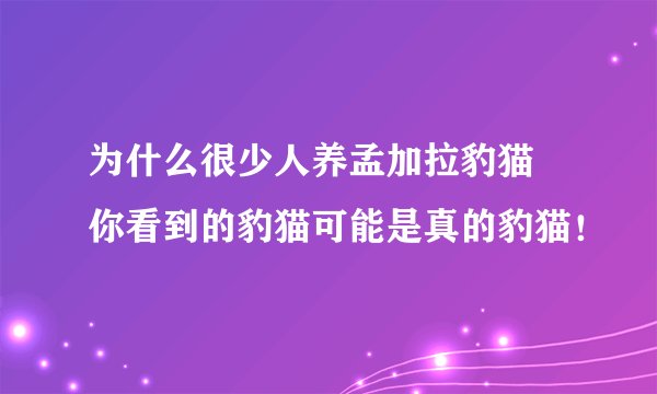 为什么很少人养孟加拉豹猫 你看到的豹猫可能是真的豹猫！