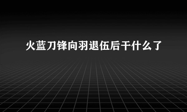 火蓝刀锋向羽退伍后干什么了