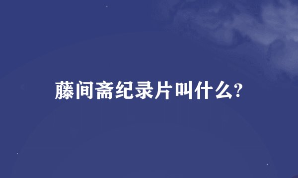 藤间斋纪录片叫什么?