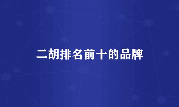 二胡排名前十的品牌