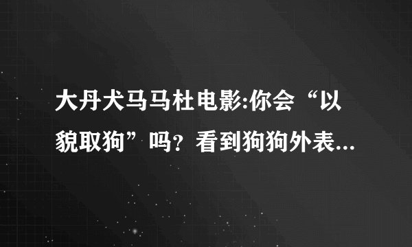 大丹犬马马杜电影:你会“以貌取狗”吗？看到狗狗外表凶就觉得它很坏？
