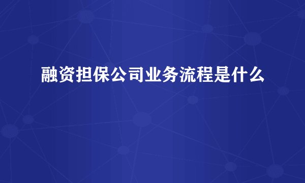 融资担保公司业务流程是什么