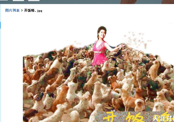 田参军的个人轶事