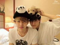 exo tao的图片