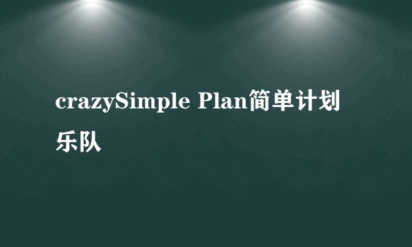crazySimple Plan简单计划乐队