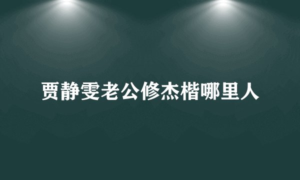 贾静雯老公修杰楷哪里人