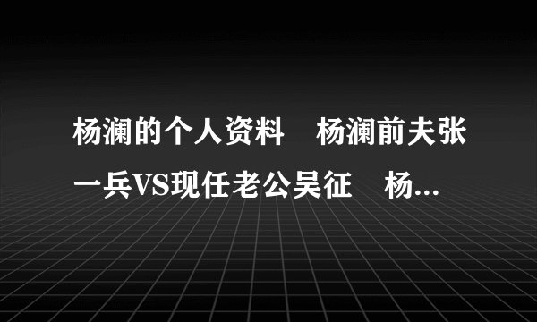 杨澜的个人资料 杨澜前夫张一兵VS现任老公吴征 杨澜的节的博客