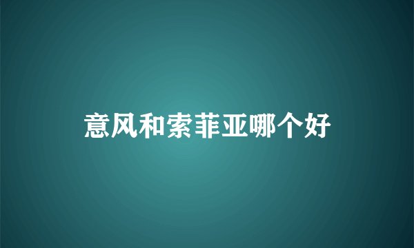 意风和索菲亚哪个好