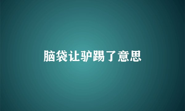 脑袋让驴踢了意思