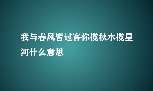 我与春风皆过客你揽秋水揽星河什么意思