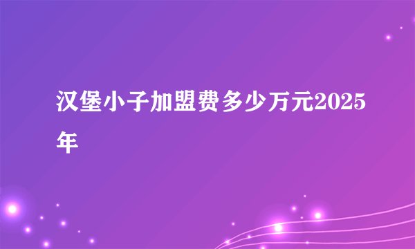 汉堡小子加盟费多少万元2025年