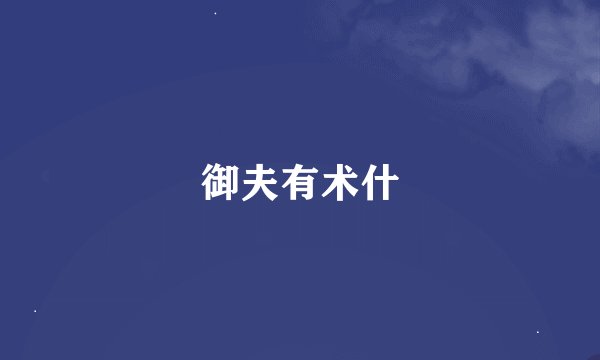 御夫有术什