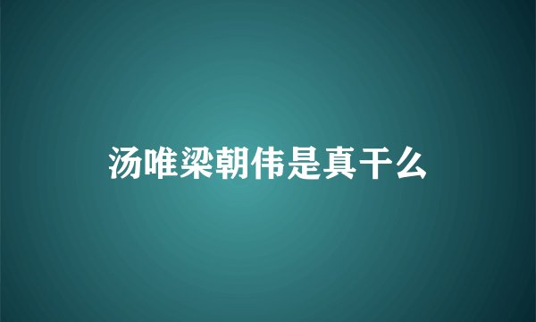 汤唯梁朝伟是真干么