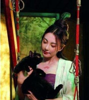 《妖猫传》实力出演 却被袁巴元质疑出轨？网友：心疼张雨绮！