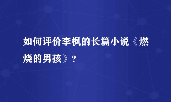 如何评价李枫的长篇小说《燃烧的男孩》？