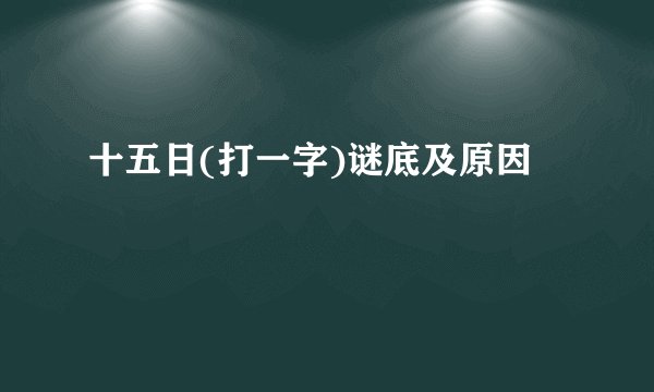 十五日(打一字)谜底及原因