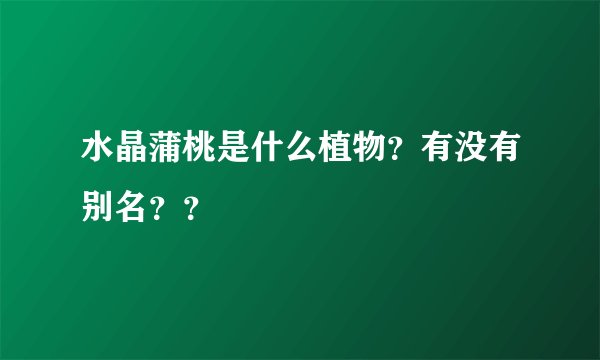 水晶蒲桃是什么植物？有没有别名？？