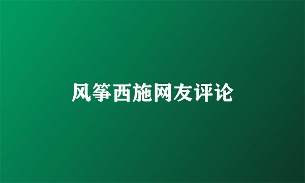 风筝西施网友评论