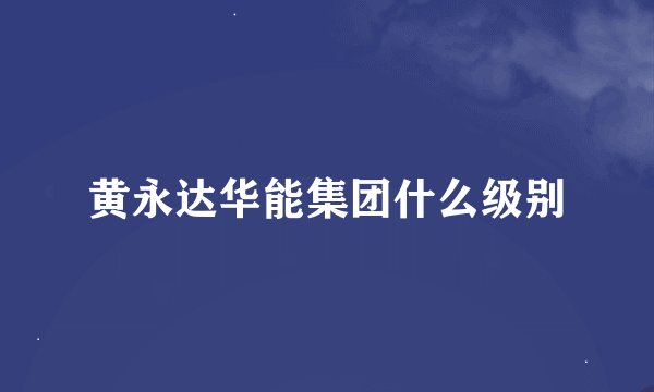 黄永达华能集团什么级别