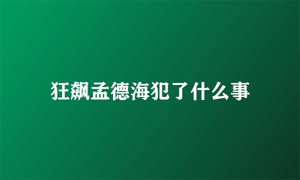 狂飙孟德海犯了什么事