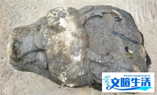历史奇迹,安徽工地惊现500斤石兽首,揭开尘封千年的秘密