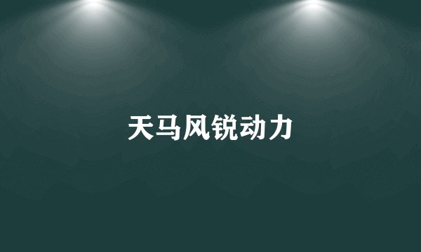 天马风锐动力