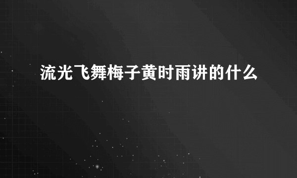 流光飞舞梅子黄时雨讲的什么