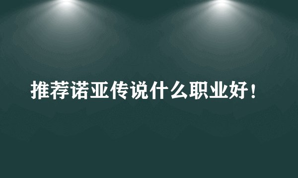推荐诺亚传说什么职业好！