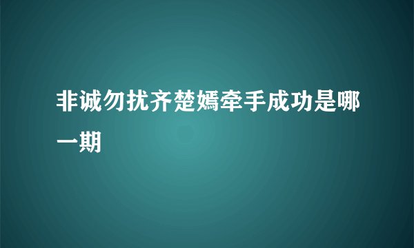 非诚勿扰齐楚嫣牵手成功是哪一期