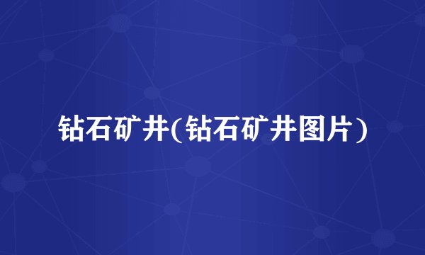 钻石矿井(钻石矿井图片)
