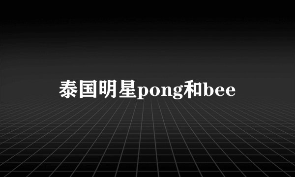 泰国明星pong和bee