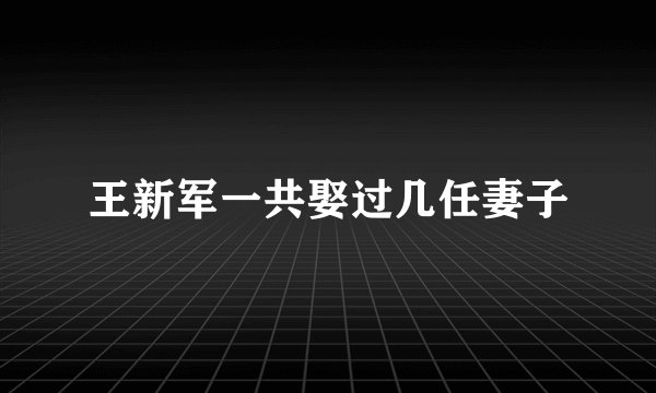 王新军一共娶过几任妻子