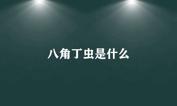 八角丁虫是什么