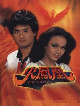 香港电视剧火凤凰剧情介绍