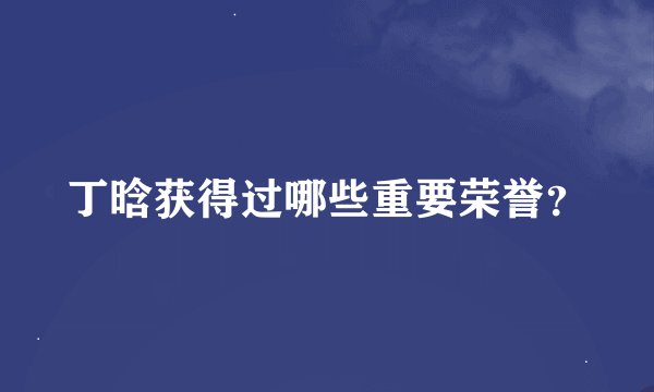 丁晗获得过哪些重要荣誉？
