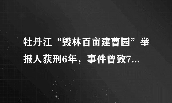 牡丹江“毁林百亩建曹园”举报人获刑6年，事件曾致74名干部被问责