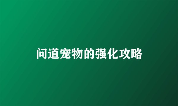 问道宠物的强化攻略