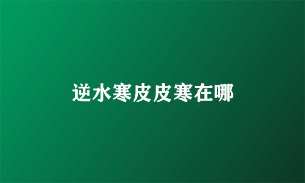 逆水寒皮皮寒在哪