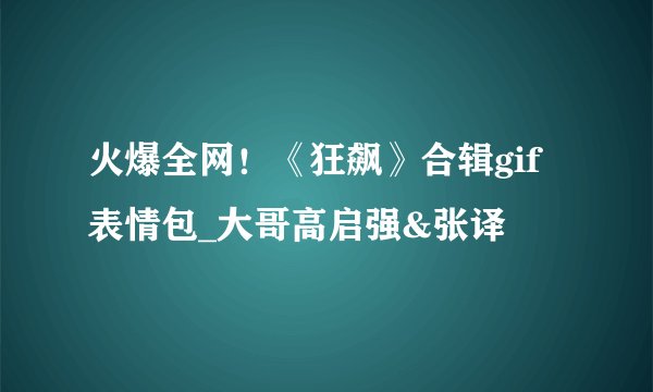 火爆全网！《狂飙》合辑gif表情包_大哥高启强&张译