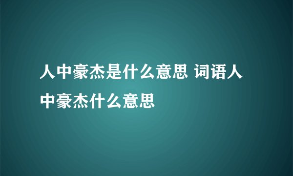 人中豪杰是什么意思 词语人中豪杰什么意思