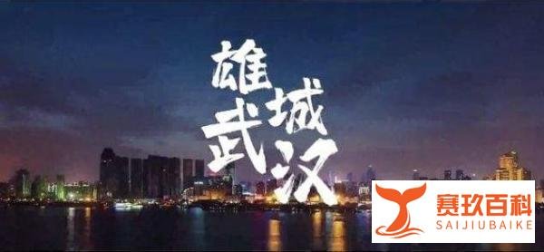 清明时节欲断魂,“武汉之殇”警钟应长鸣