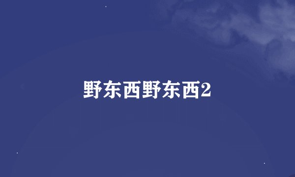 野东西野东西2