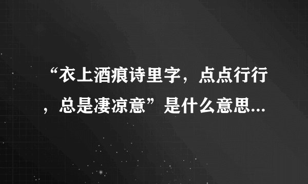 “衣上酒痕诗里字，点点行行，总是凄凉意”是什么意思_出处及原文翻译